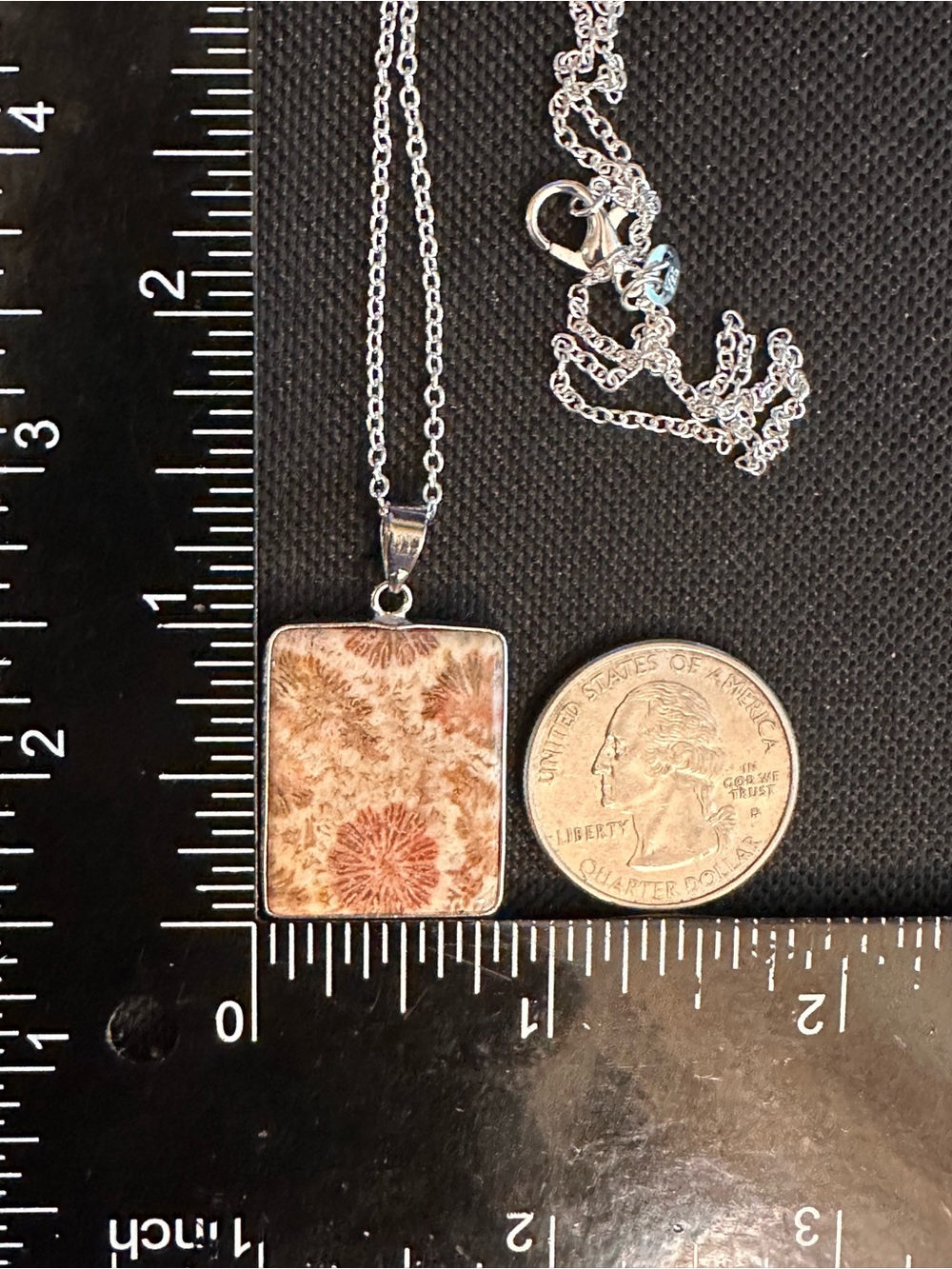 Coral Fossil Pendant Necklace on Silver Plated Box Chain - Picture 16 of 16